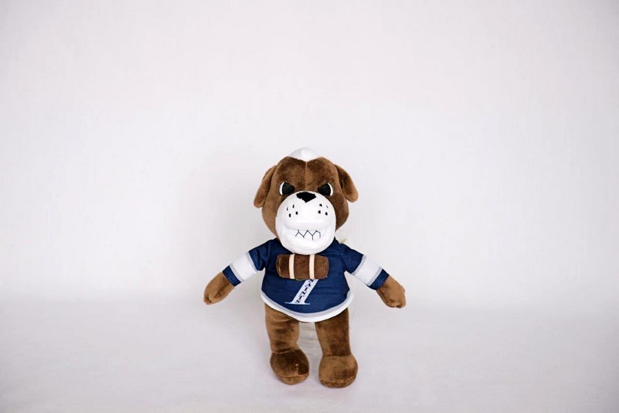 Custom Plush Toy -Immaculate H.S.