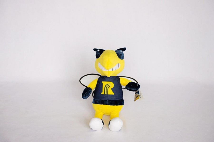 custom plush mascot toys Rochester Community and Technical College rochester minnesota