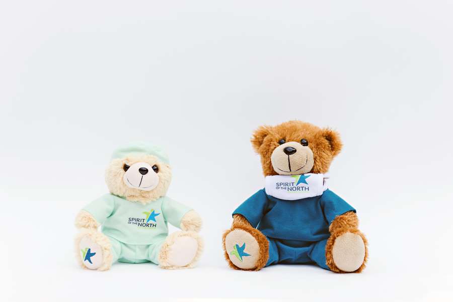 Branded Custom Plush Toy - Spirt of the North Healthcare Bears