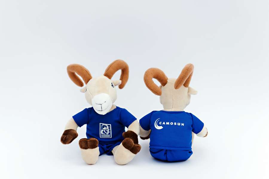 Branded Custom Plush Toy - Camosun Ram (front and back)