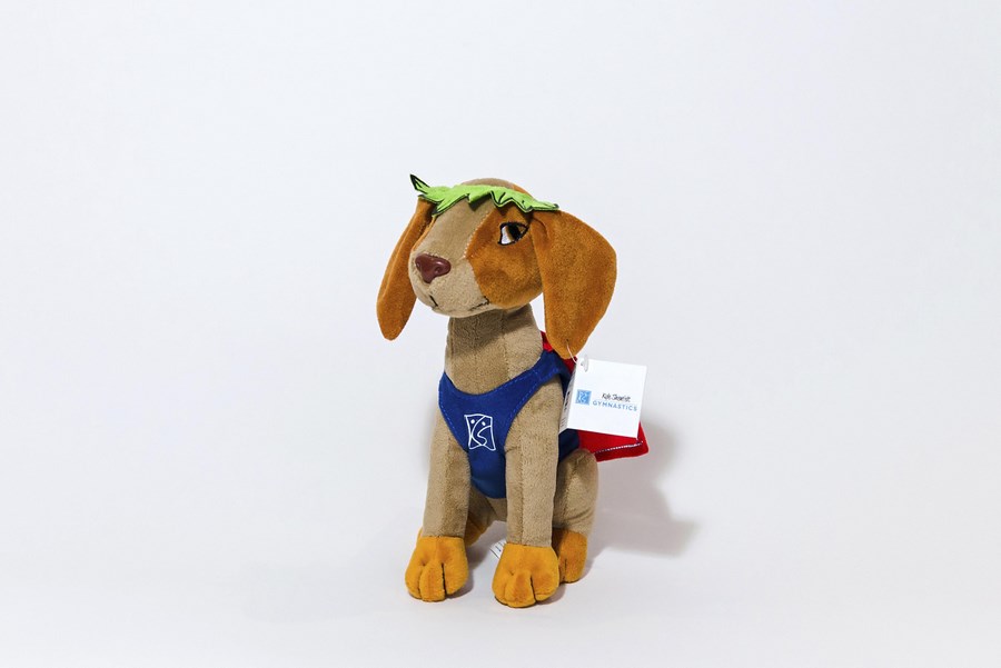 Custom Plush Toy Dog - Super Cooper