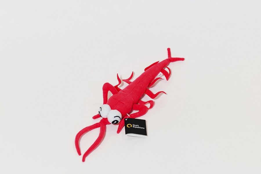 Branded Custom Plush Toy Crawfish- Quark Expeditions