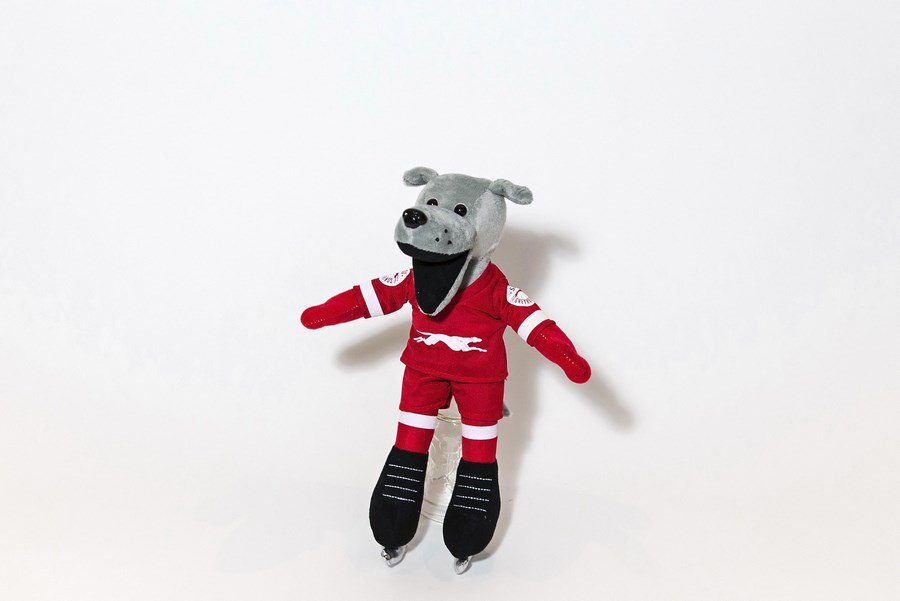 Custom Plush Mascot - Dash Skating Dog