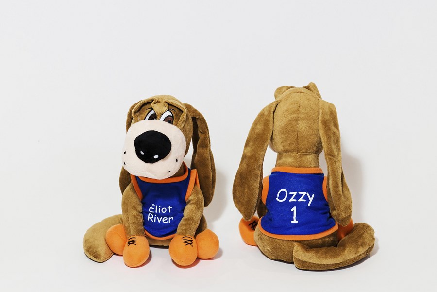  Custom Mascot Dog - Ozzy