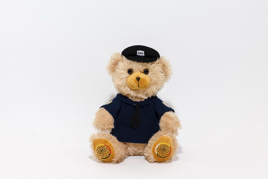 Branded Teddy Bears- Anishanbek Bear