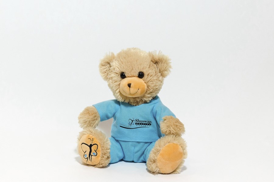 Branded Custom Plush Teddy Bear in Scrubs - Shuswap Hospice Bear