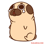 Puglie Pug